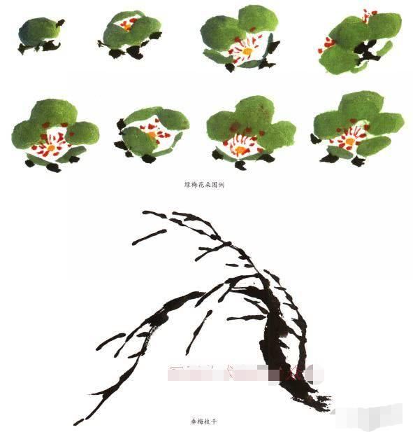 写意梅花画法示范教程，梅花的树干和根部画法，画梅花的构图形式