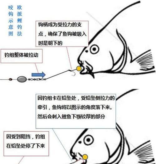  『英文』在欧洲钓鲤鱼是一项非常高大上的运动，一套装备要几干欧