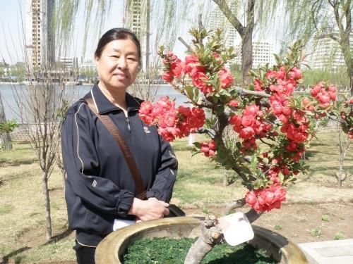 别养绿萝了，这种花抓紧种两棵，花开喜庆红火，美若诗画