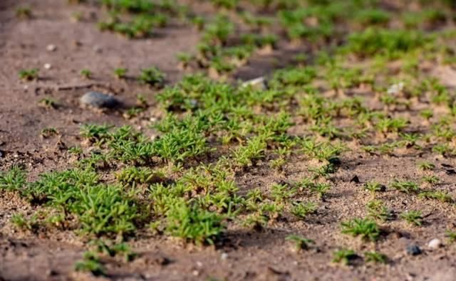 来敦煌的14件事，你体验了几件？