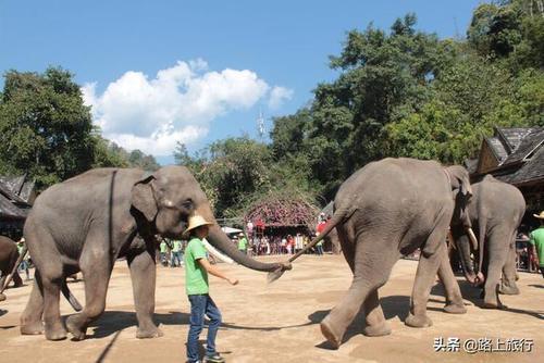 云南最有异域风情的城市，不是丽江和大理，是一座边境小城