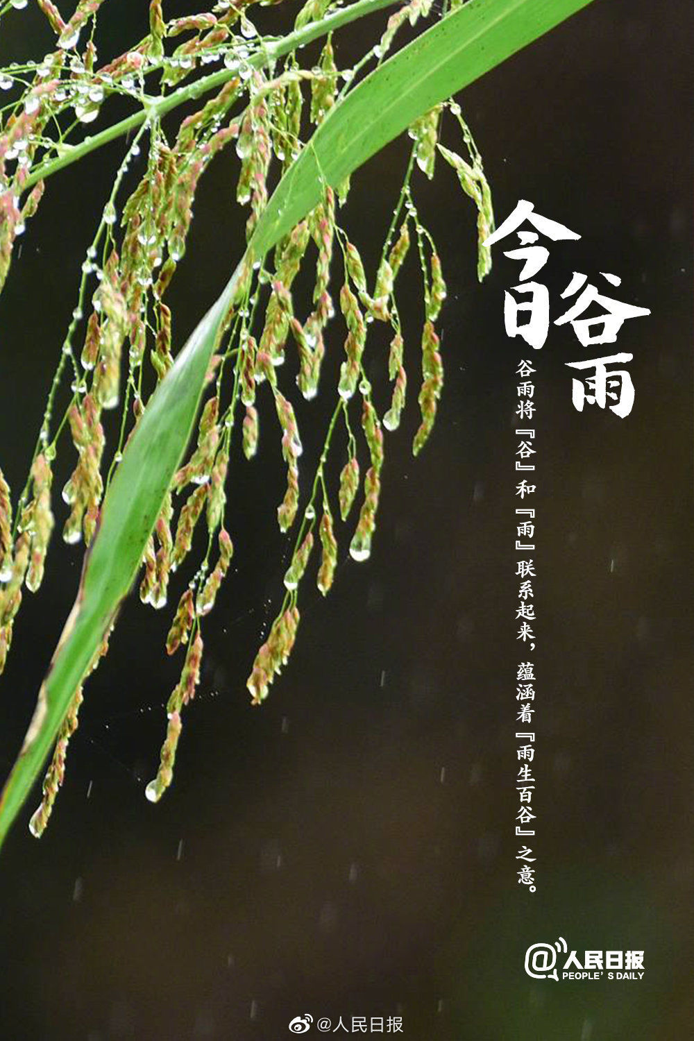  迎接@今日谷雨，你准备好迎接夏天了吗？