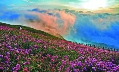 全国各省最高峰，你的家乡排第几？