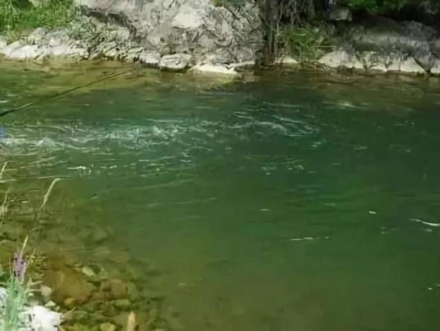 『技巧』在流水中钓鱼应该掌握什么技巧?