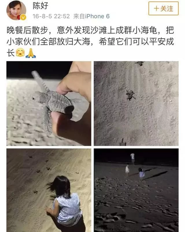 捕鱼达人下载:为胡军跳崖,抢刘涛未婚夫,她曾是万人迷,嫁入豪门却风光不再? 捕鱼达人下载:为胡军跳崖,抢刘涛未婚夫,她曾是万人迷,嫁入豪门却风光不再?
