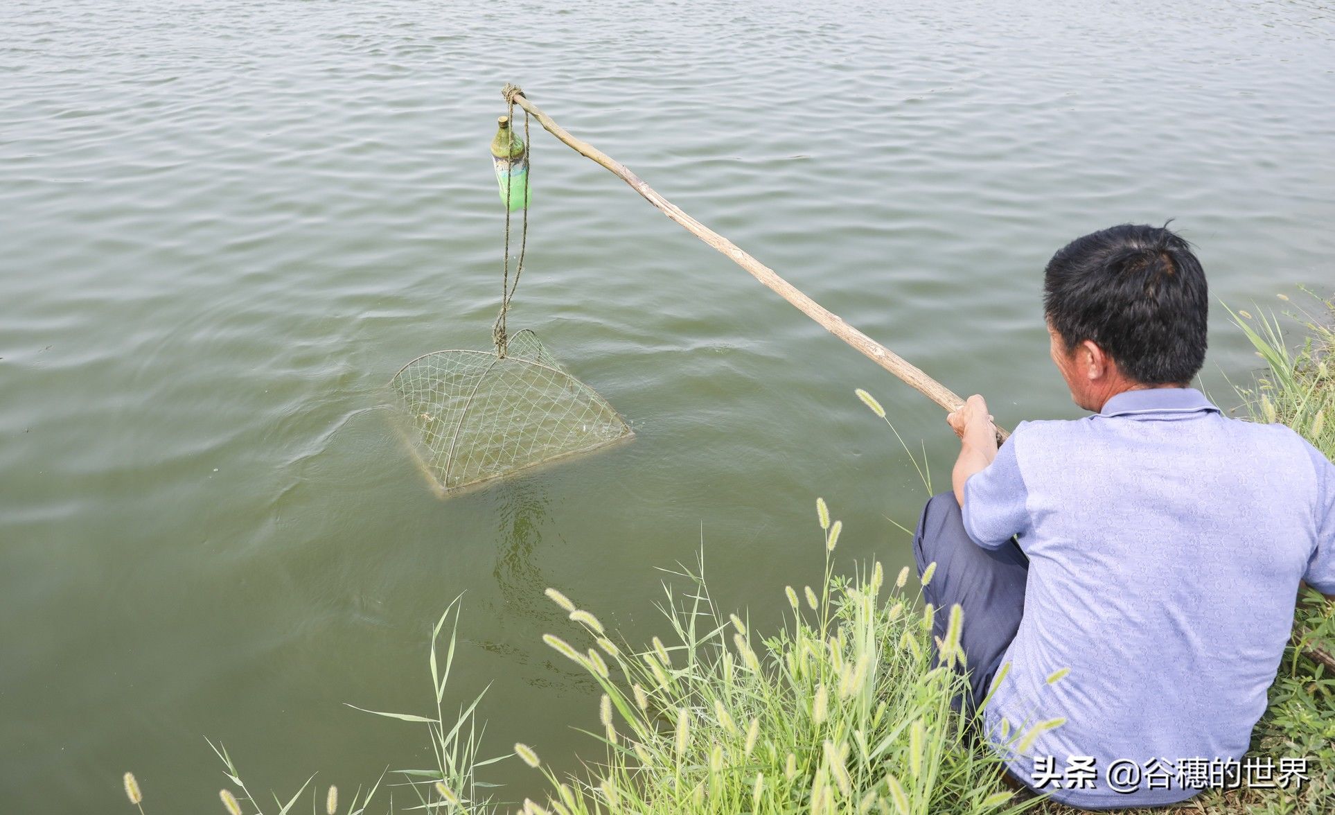 黄河岸边曾经的农村盐碱地，现在12000个虾池，农民们的梦想