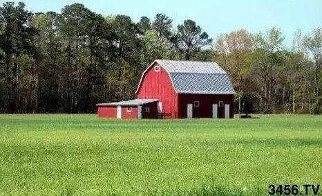 对不起，我要回去当农民了！重磅信号，中国即将实行三权分置！