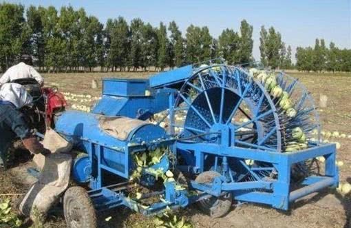 男子将西瓜就地搅碎,众人十分不解,真相让男子不淡定啦！