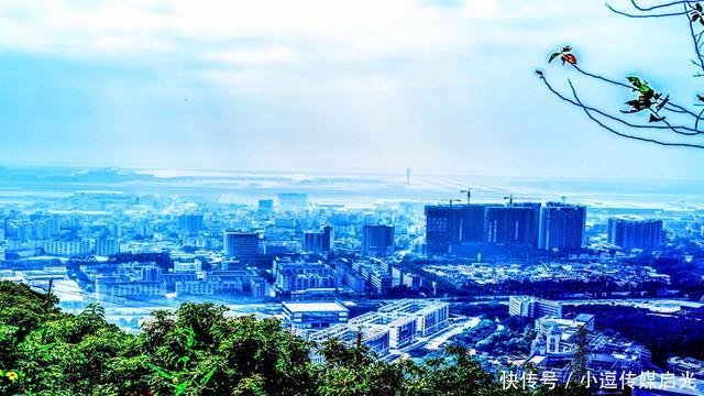 深圳最大的区，比龙岗还大，接近6个盐田，相当于5个福田