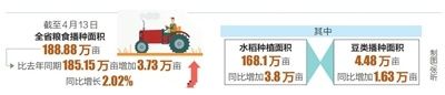  『推广水稻』海南省粮食春播面积188．88万亩