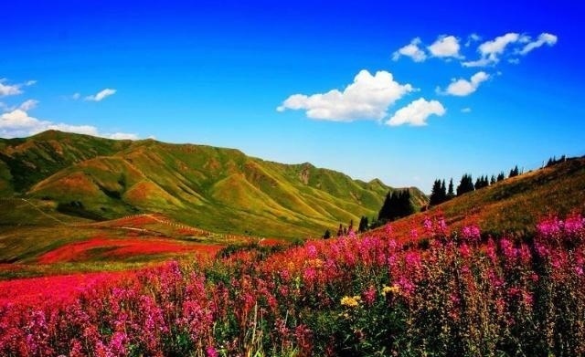 98年中国成功收复了3万公顷领土,因太过低调,至今没几个人知道！