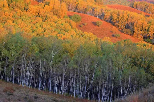  「大有前途」安徽最“奋发图强”的城市，不是合肥也不是淮北，