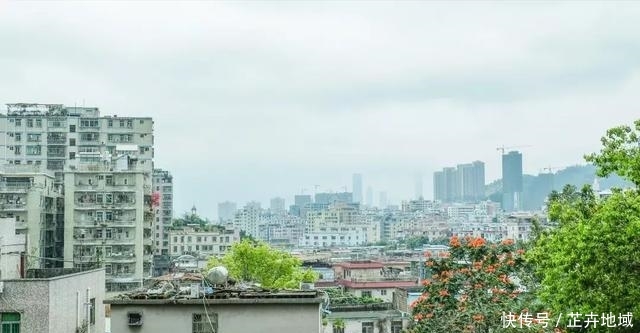  「龙岗」深圳这个区要火了