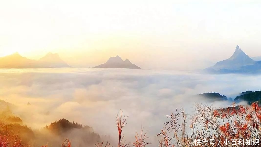  合川■重庆三个叫“川”的区，曾经都是县级市，目前区别却很大