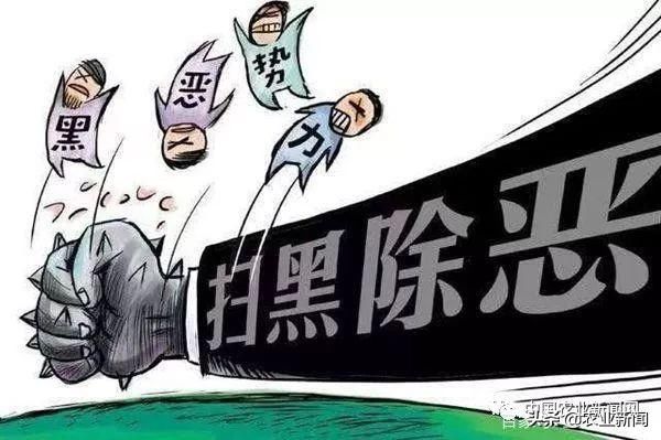 2019年，国家出手彻底严查农村4类违法乱象，农民朋友要注意！