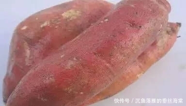 『拒绝』黑坑钓鲤鱼饵料配方,拒绝加入空军营