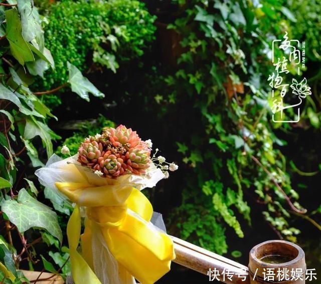 #喜欢#一粥一饭填饱肚子,一屋一花神仙日子!生命不止,玩趣不停!
