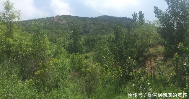 农民不种玉米种它，亩产一万斤，1元一斤收入是玉米的3倍