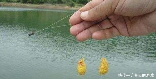 颗粒比较小:打窝来鱼快?还是搓饵抽窝来鱼快?懂了上鱼更快