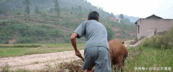 农村5大怪现象,城里人看不懂,老农民看不惯你们村有几种！