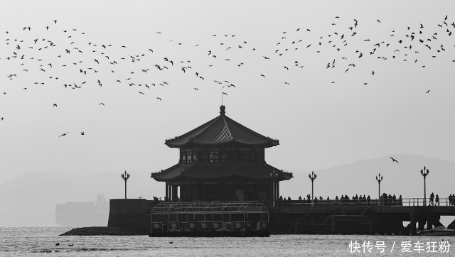 青岛大虾吃不起？抛开这些，去青岛亲眼瞧瞧，其实别有风景