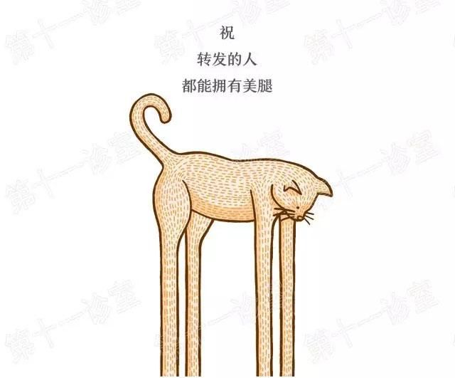 如何拥有一双美腿？