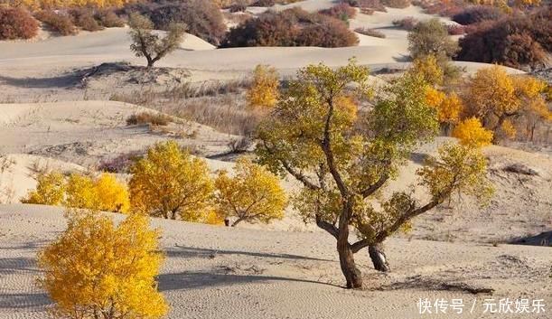  #之耳#中国最“善变”的湖泊，变成沙漠又成水库，还被誉为地球