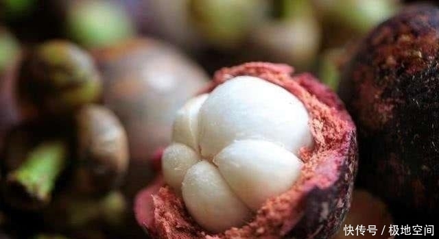 1棵山竹树1次结果几千个，为啥山竹还那么贵30年老果农说出真相