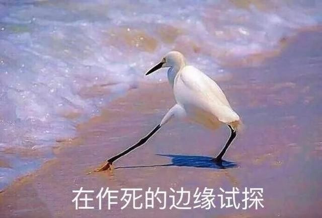 你咋不上天了!昨日网上疯传鹤壁某地6人被杀?!网警表示