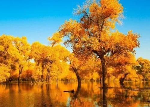 全国最美的深秋之景，景色美到逆天，绝对不要错过