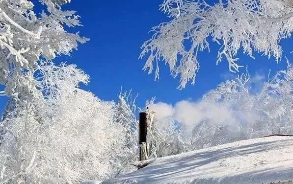 一场雪,东北就变成了雪国