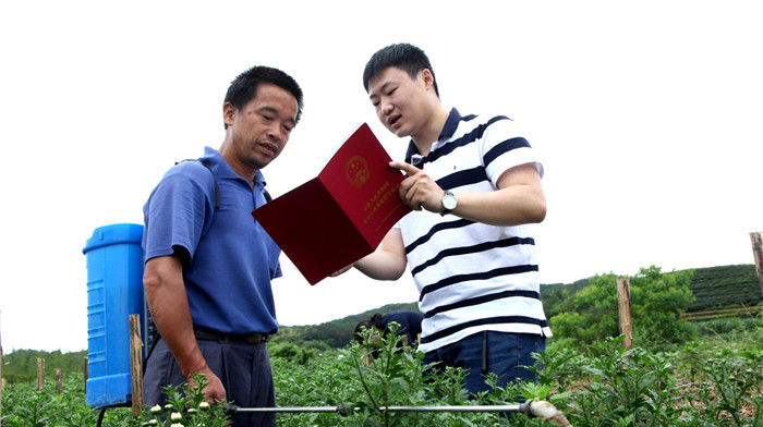  【土地确权】提个醒！土地确权证下发，农民要注意这四个问题