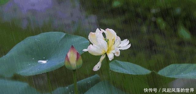『水温降低』同样在下雨天钓鱼,为何别人收获很好,你却钓不到鱼!