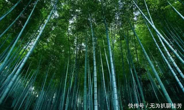  民办高校■首次！西安晋级为特大城市！