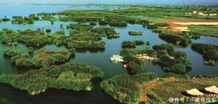 游客又被坑了，宁夏景区餐馆宰客程度不输三亚，游客犯晕直接投诉