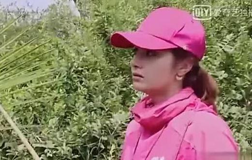 图集别人干活，她在不停换发型，怪不得热巴和娜扎都红了，她红不