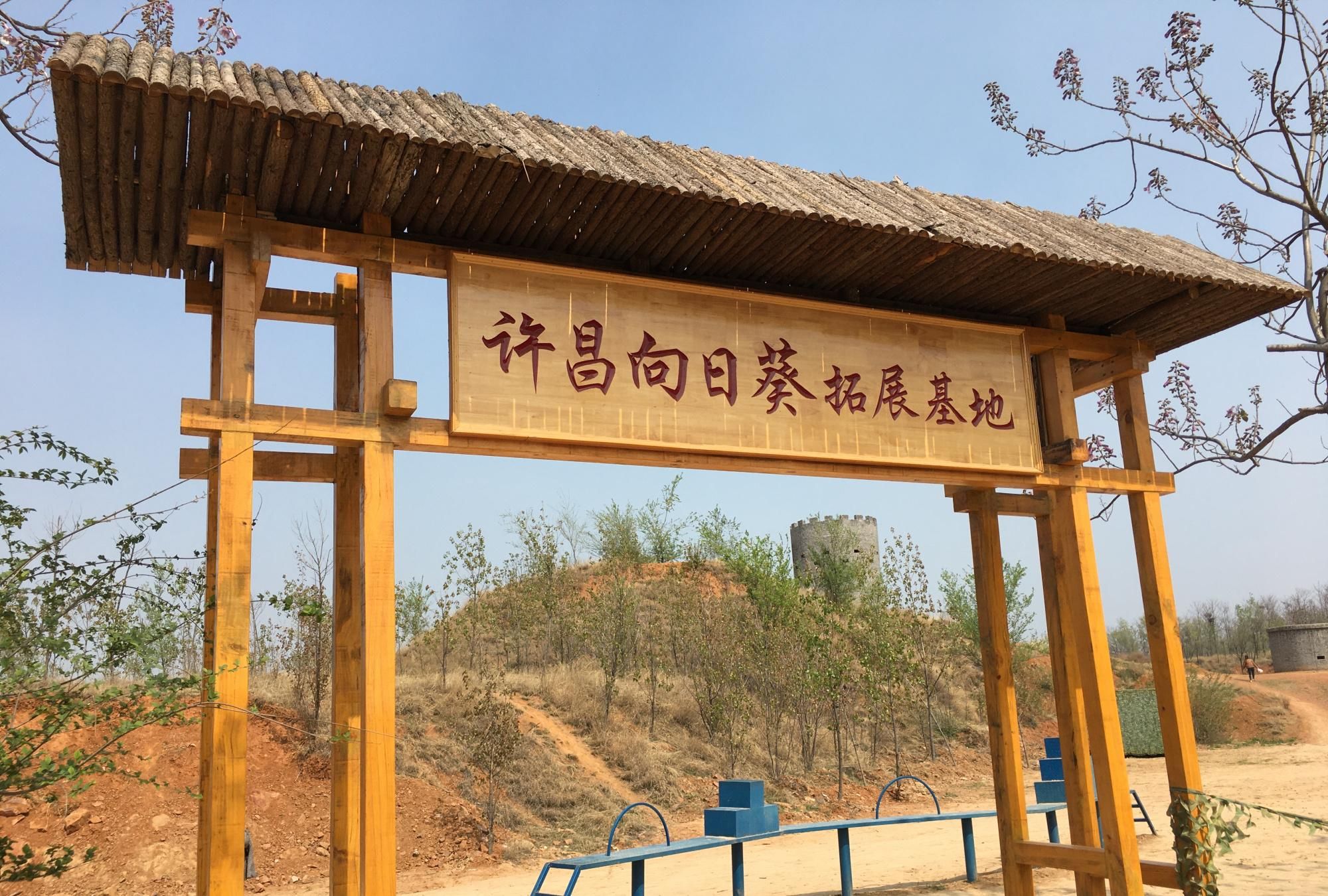  「拍下」临颍：这个清明节小姑娘跑到榆林村，拍下了一组美照