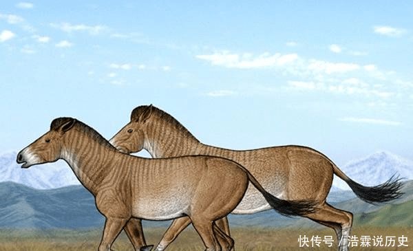  「环境」假如青藏高原不隆起，我国南方是什么环境