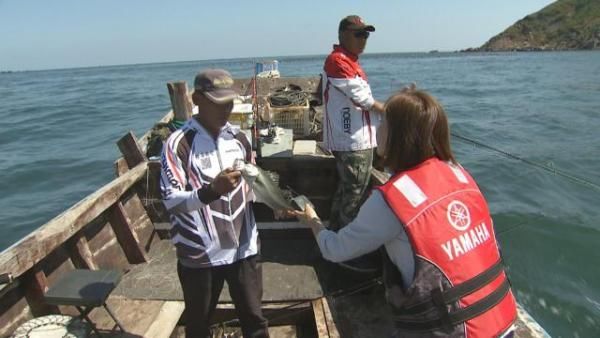 海韵、海味、海风情，海洋岛上“生出”海财富