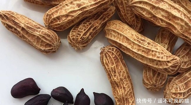  眼红|它是高价“漆黑”果，20元一斤不好买，农民看着眼红却不敢