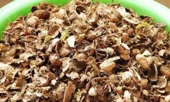  花生壳■养花盆土常常板结，埋下“4个小玩意”，变得松软，养花更旺了
