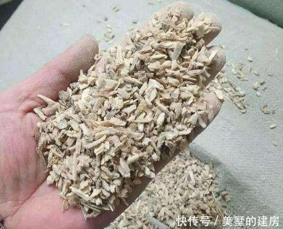  【养花】养花少不了氮磷钾，自制3种花肥，省了肥料钱肥力足
