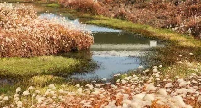 出发 | 金秋十月，这5个地方藏着中国最美的秋色！