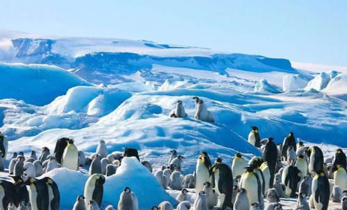 南极有个很奇特的景观，在严寒的环境下，湖水温度高达零上25度