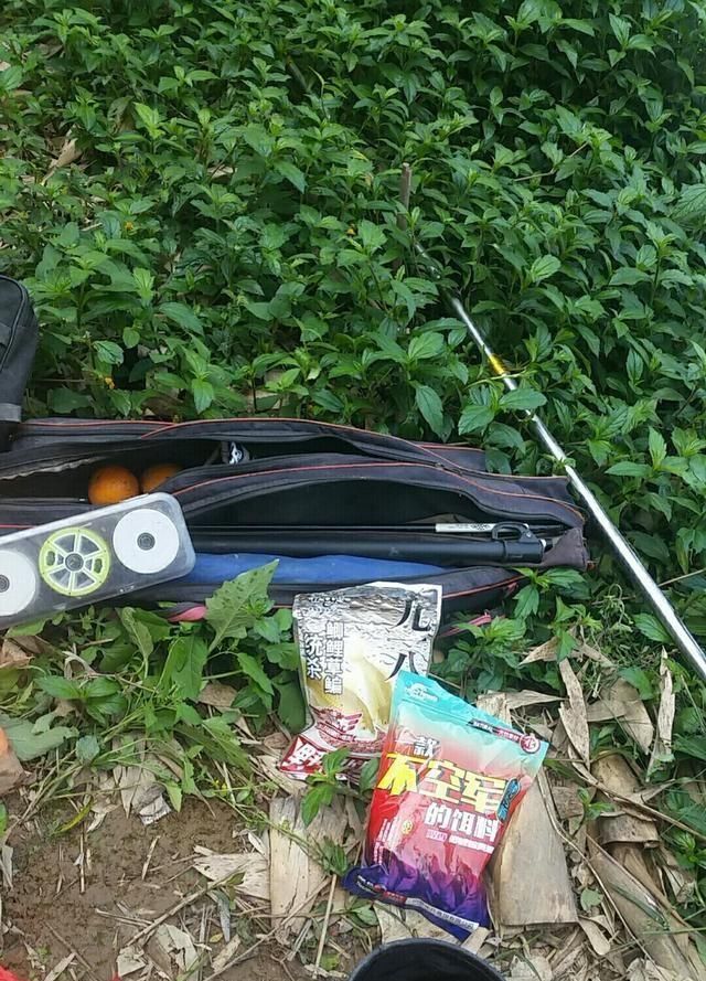  「仪式」渔获再小也要抄网出动，钓鱼的仪式感