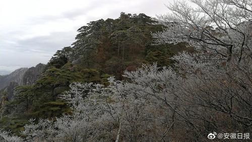 黄山迎来今冬首场雾凇