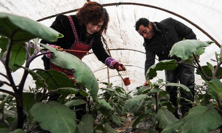  村子@中国这个村子农民宁愿耕田，也不出去打工，究竟是为何？