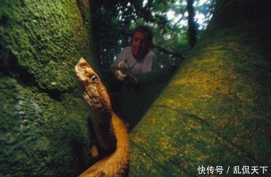 世界上那些至今都禁止人类进入的地方，你听说过吗？