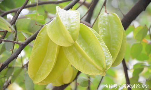  『葡萄』三种祛黑眼圈的水果，杨桃、葡萄、樱桃，深受女性的喜爱！
