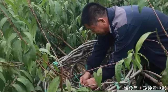  椅子@大爷花10年“种椅子”，一把卖80000！这些文玩在家也能种